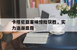 雷速体育比分官网-卡塔尼亚客场惊险获胜，实力逐渐显露的简单介绍