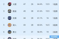 雷速体育app-步行者队连胜被终止，失利给教训