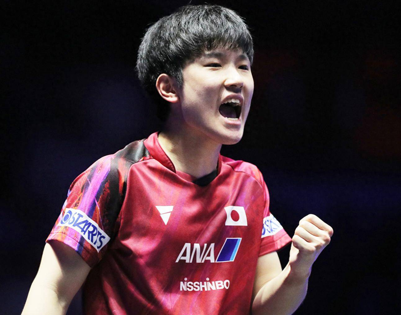 关于比利时乒乓球队完胜德国乒乓球队,张本智和统治全场的信息 关于比利时乒乓球队完胜德国乒乓球队,张本智和统治全场的信息