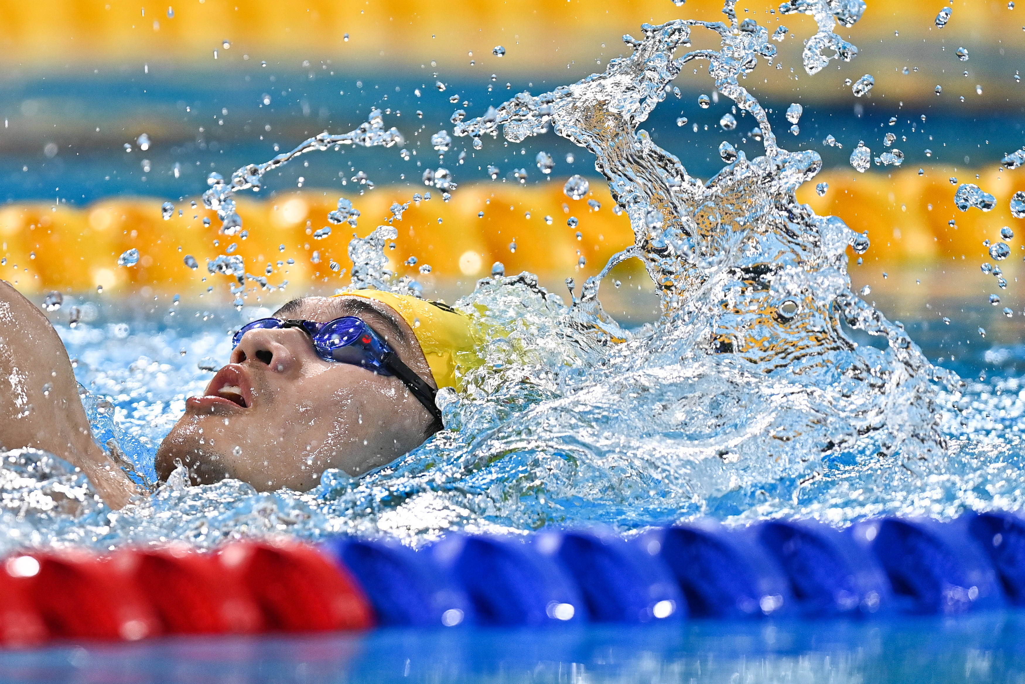 游泳赛事精彩瞬间盘点,年度回顾震撼登场 游泳赛事精彩瞬间盘点,年度回顾震撼登场